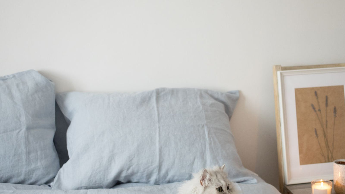 A white cat on a bed with a lit candle on the bedside table